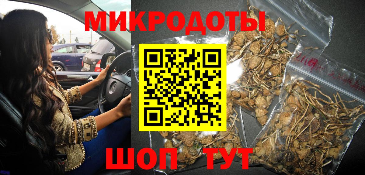 Псилоцибиновые грибы Psilocybine cubensis  Галлюциногенные грибы Cubensis  Вход с VPN  Мыски 